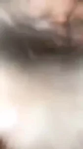网上约炮的骚逼