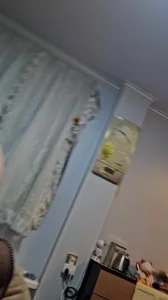 骚媳
