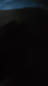 后入大屁股人妻